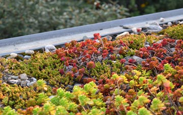 the cost of West Farleigh green roof installation