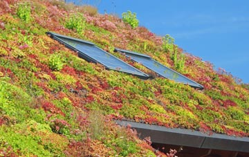 West Farleigh living roof systems